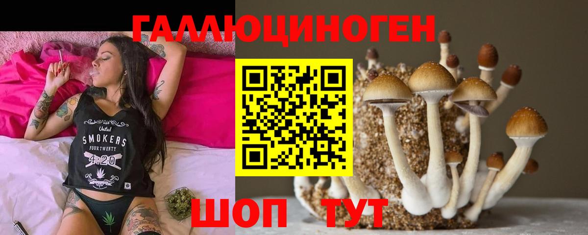 Муром  Псилоцибиновые грибы Psilocybine cubensis  Вход с VPN 